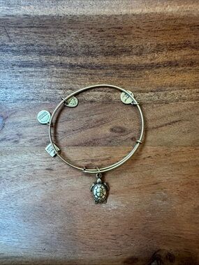 Alex and Ani Gold Turtle Charm Bangle Bracelet